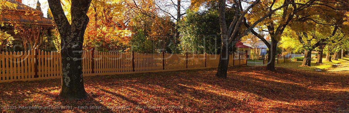Peter Bellingham Photography Finch Street - Beechworth - VIC H (PBH4 00 13919)